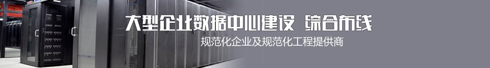 大企業(yè)數(shù)據(jù)中心建設(shè)綜合布線(xiàn)專(zhuān)家